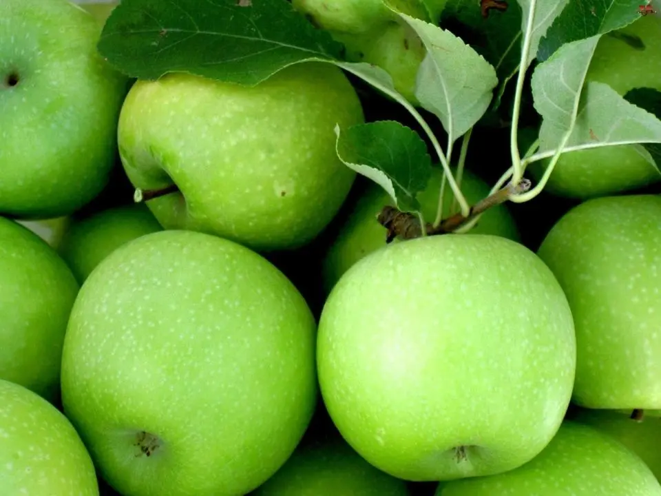 Semerenko navli yashil olma (1kg)